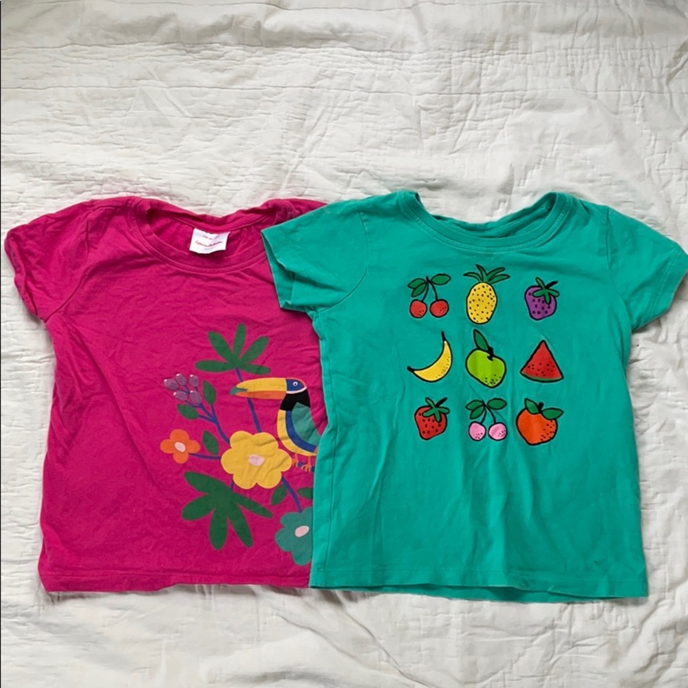 Bundle of 2 girls size 5 Hannah Anderson tees